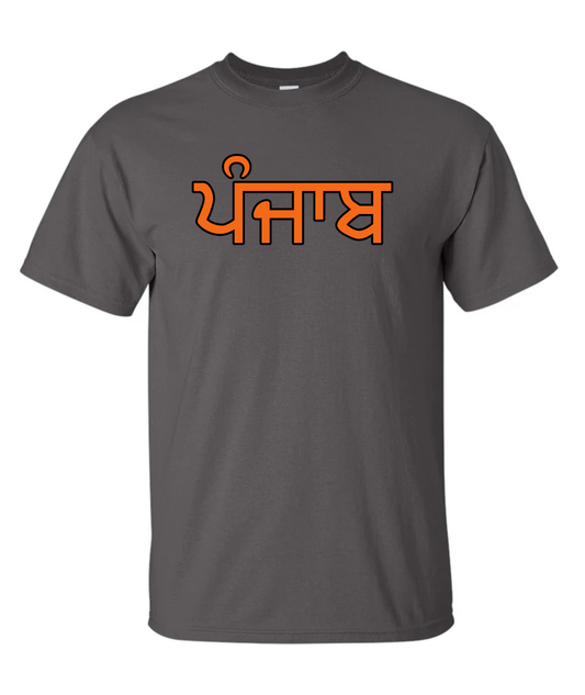 PUNJAB (ਪੰਜਾਬ) TEES